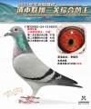 图片暂时未上传