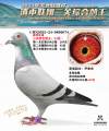 图片暂时未上传
