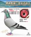 图片暂时未上传