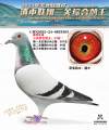 图片暂时未上传