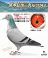 图片暂时未上传