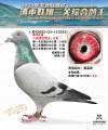 图片暂时未上传