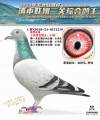 图片暂时未上传