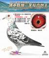 图片暂时未上传