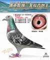 图片暂时未上传
