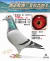 图片暂时未上传