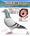 图片暂时未上传