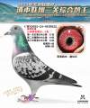 图片暂时未上传