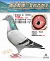 图片暂时未上传