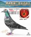 图片暂时未上传