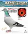 图片暂时未上传
