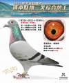 图片暂时未上传