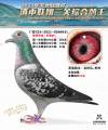 图片暂时未上传