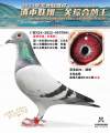 图片暂时未上传