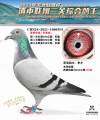 图片暂时未上传