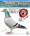 图片暂时未上传