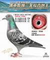图片暂时未上传
