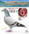 图片暂时未上传