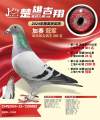 图片暂时未上传