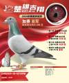 图片暂时未上传