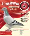 图片暂时未上传