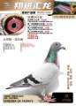 图片暂时未上传