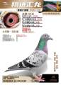 图片暂时未上传