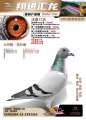 图片暂时未上传