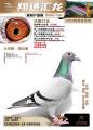 图片暂时未上传