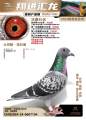 图片暂时未上传