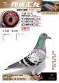 图片暂时未上传