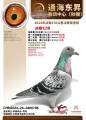 图片暂时未上传