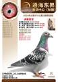 图片暂时未上传