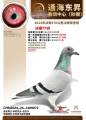 图片暂时未上传