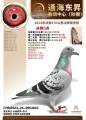 图片暂时未上传