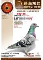 图片暂时未上传