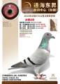 图片暂时未上传