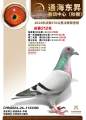 图片暂时未上传