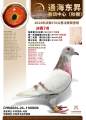 图片暂时未上传