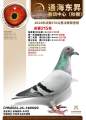 图片暂时未上传