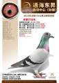 图片暂时未上传