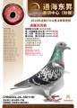图片暂时未上传