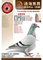 图片暂时未上传