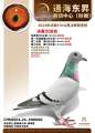 图片暂时未上传