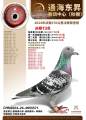 图片暂时未上传