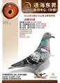 图片暂时未上传