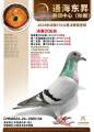 图片暂时未上传