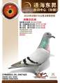 图片暂时未上传