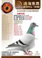 图片暂时未上传