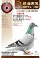 图片暂时未上传